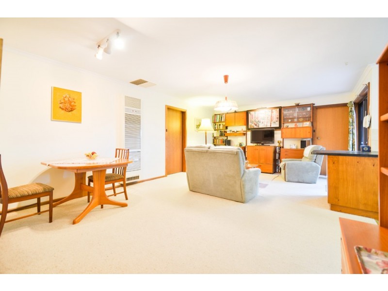 20 Jaimey Grove, Aberfoyle Park SA 5159