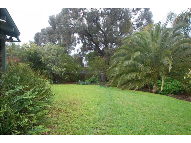 11 Chelsea Ave, Flagstaff Hill SA 5159