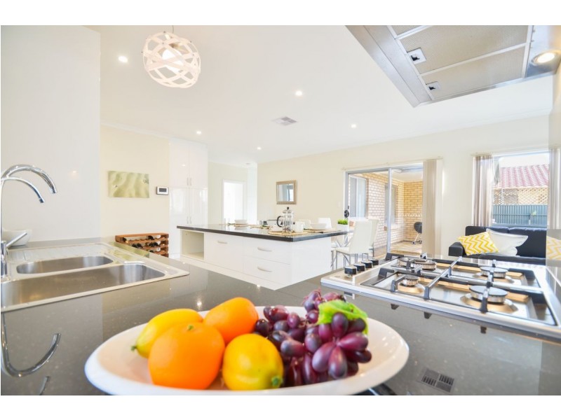 16 Laurence Street, South Plympton SA 5038