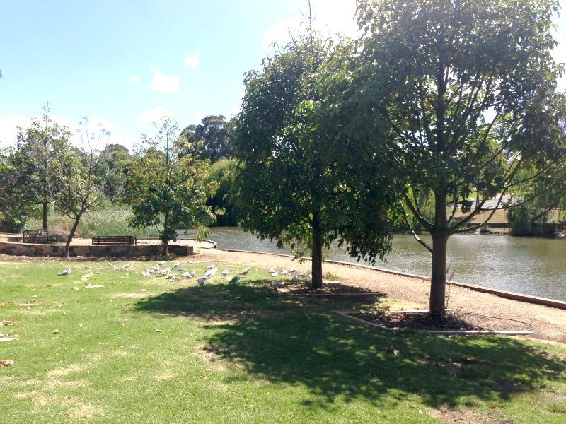 2 Trinidad Way, Happy Valley SA 5159