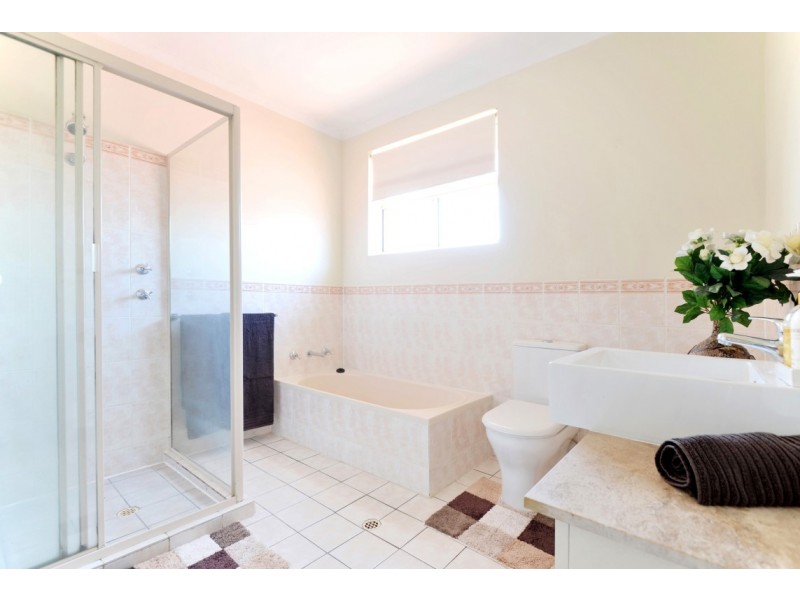 6/149 Anzac Highway, Kurralta Park SA 5037