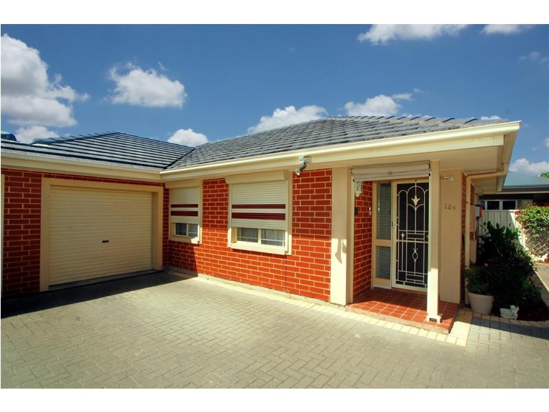 19b Daisy Avenue, Mitchell Park SA 5043