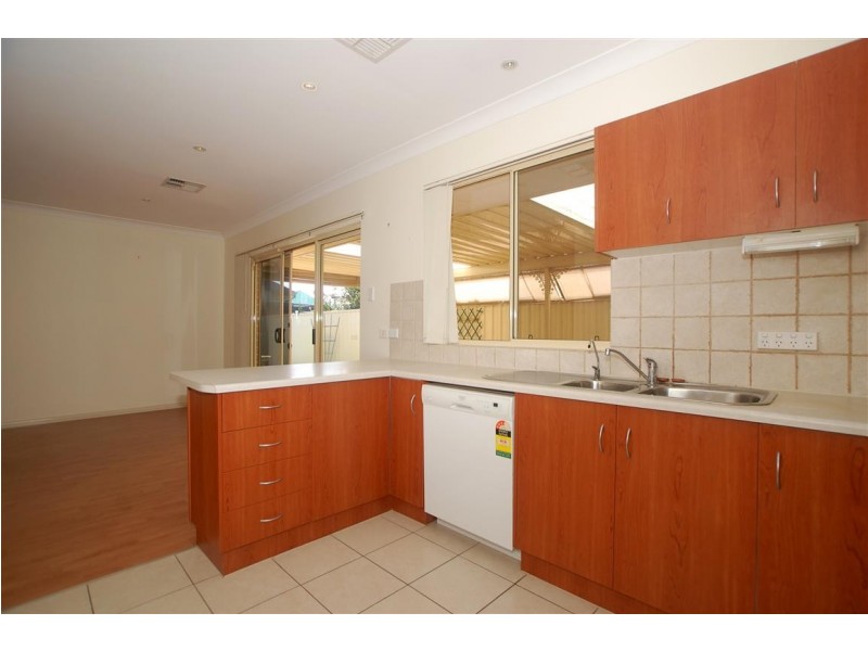 19b Daisy Avenue, Mitchell Park SA 5043