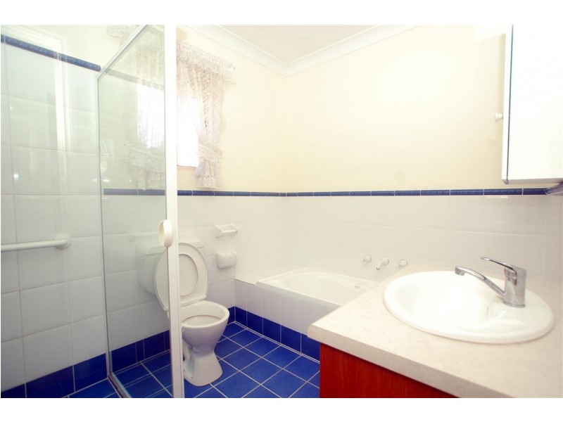 19b Daisy Avenue, Mitchell Park SA 5043