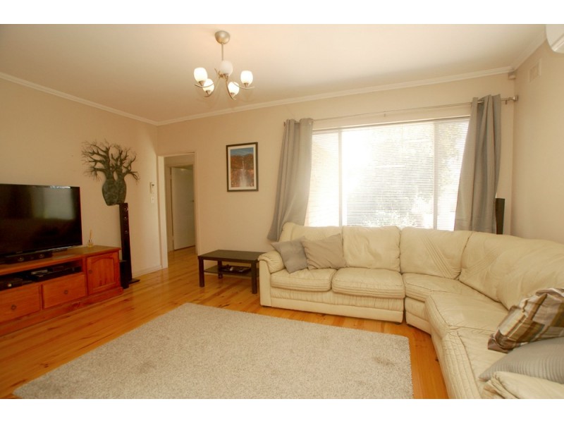 3 Woodmere Avenue, Mitchell Park SA 5043