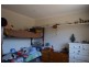 13 Monterey Pine Drive, Aberfoyle Park SA 5159