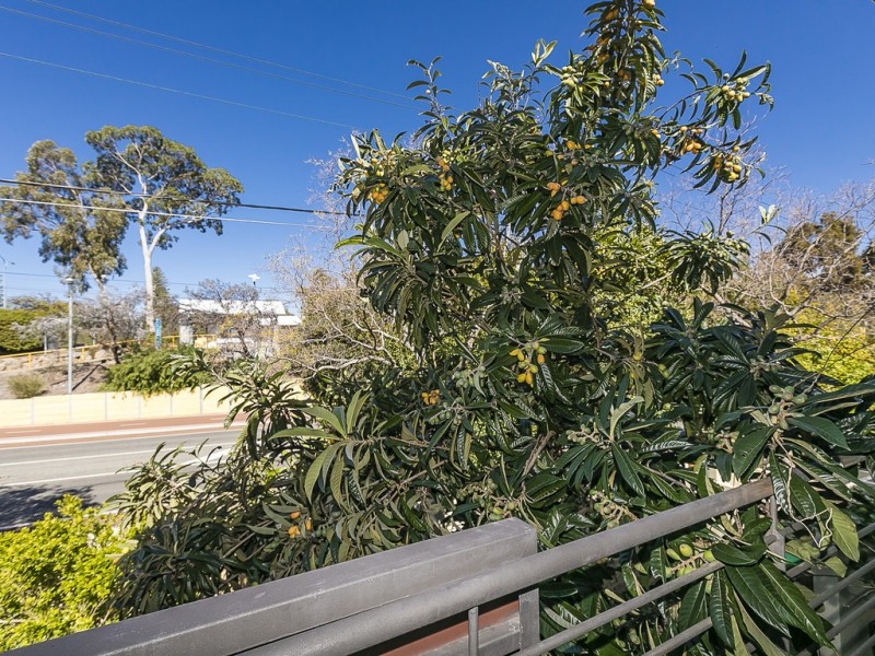 3/2 Quintilian Road, Mount Claremont WA 6010