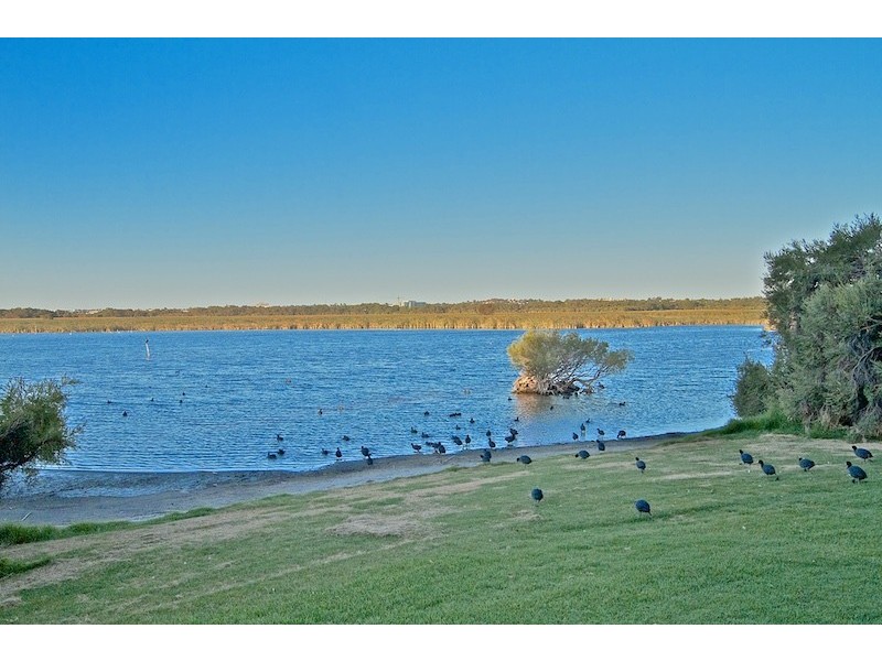 48/99 Herdsman Parade, Wembley WA 6014