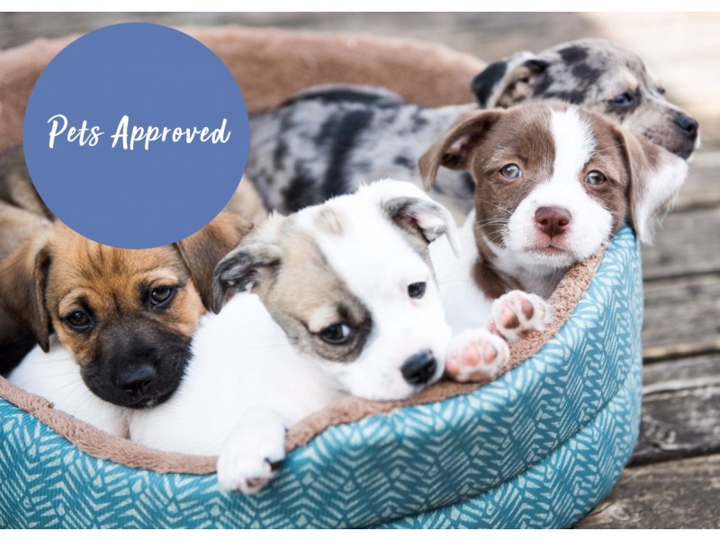 453 Burns Beach Road, Iluka WA 6028