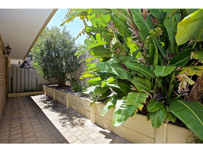 5/83 Barbican Street, Shelley WA 6148