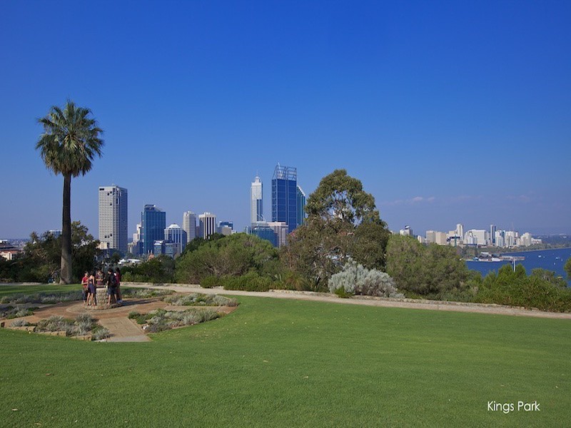101/45 Malcolm St, West Perth WA 6005