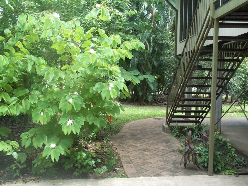 20 Bloodwood Circuit, Karama NT 0812