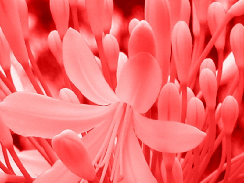 5/41 McMinn St, Darwin NT 0800