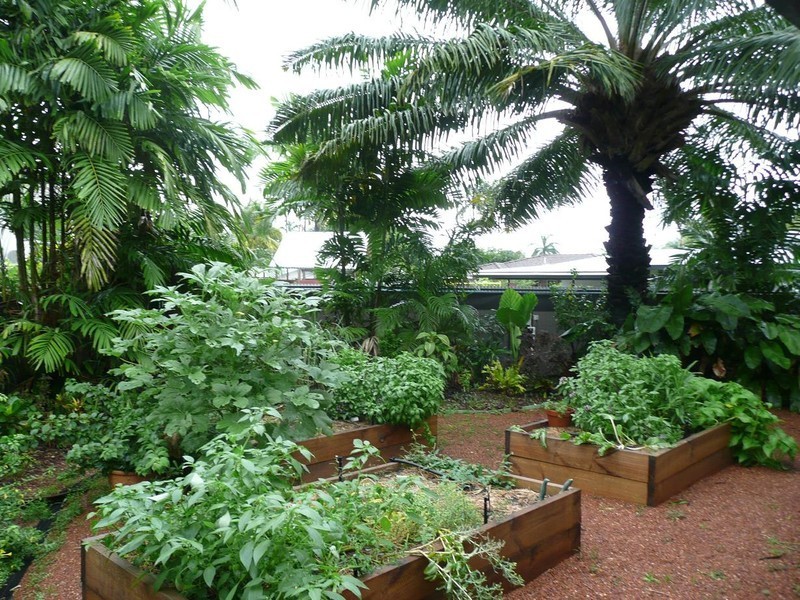 22 Carstens Crescent, Wagaman NT 0810