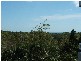 15/1 Buffalo Ct, Darwin NT 0800
