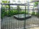68 Melastoma Drive, Moulden NT 0830