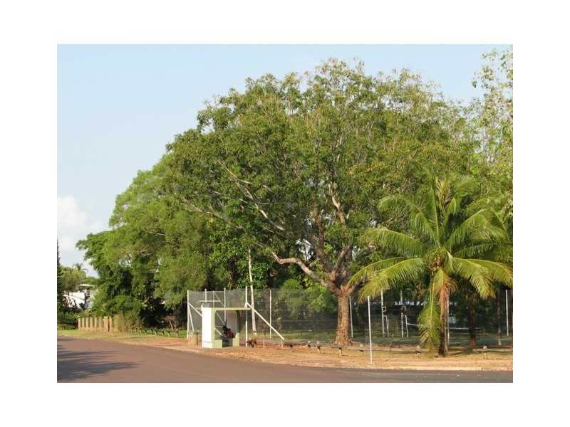16/57 Aralia St, Nightcliff NT 0810