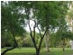 38 Parer Drive, Wagaman NT 0810