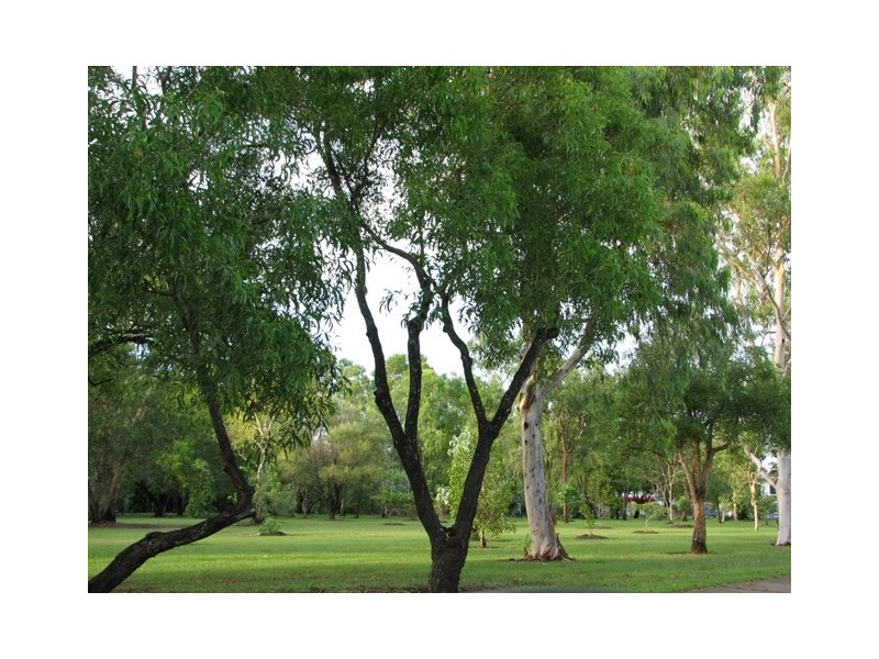 38 Parer Drive, Wagaman NT 0810