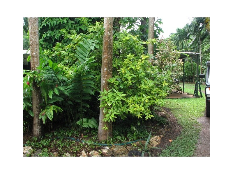 5 Fellows Road, Howard Springs NT 0835
