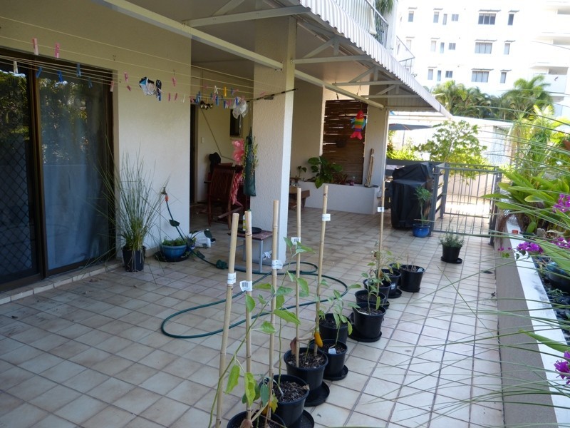 2/5 Warrego Crt, Larrakeyah NT 0820