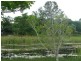 19 Don Circuit, Durack NT 0830