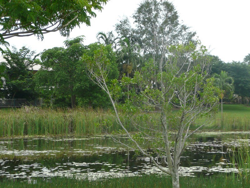 19 Don Circuit, Durack NT 0830