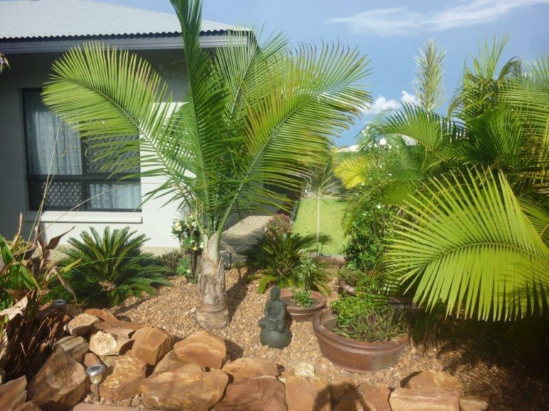 19 Antonio Drive, Rosebery NT 0832