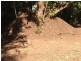 3 Luxton Street, Stuart Park NT 0820