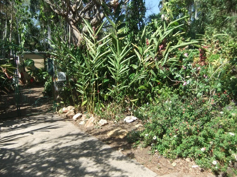 14 Queen Street, Stuart Park NT 0820