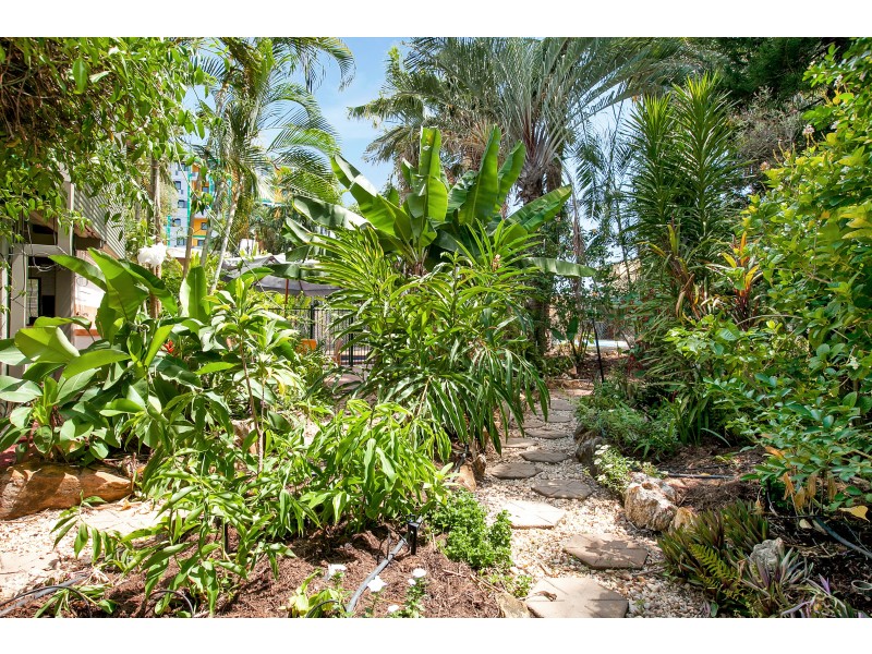 39 Britomart Gardens, Alawa NT 0810