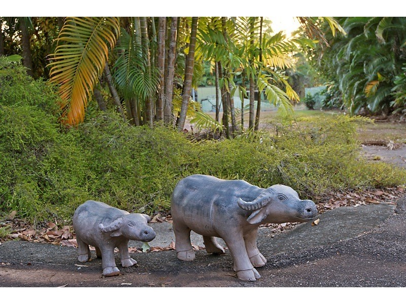 50 Shewring Rd, Mcminns Lagoon NT 0822