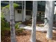 4/59 Kalymnos Drive, Karama NT 0812