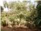 19/17 Geranium Street, The Gardens NT 0820