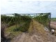 70 Connelley, Lambells Lagoon NT 0822