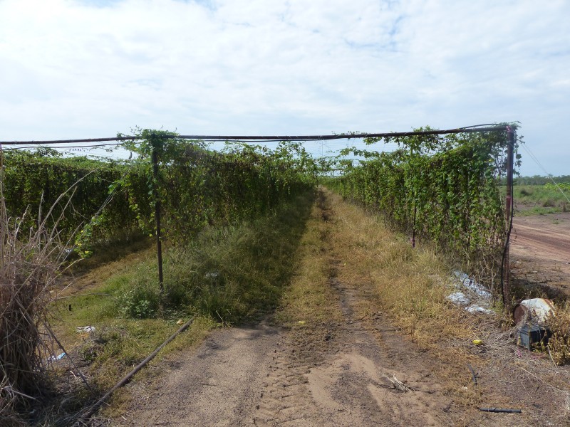 70 Connelley, Lambells Lagoon NT 0822