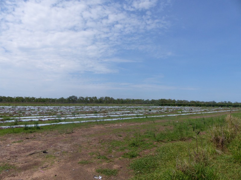 70 Connelley, Lambells Lagoon NT 0822