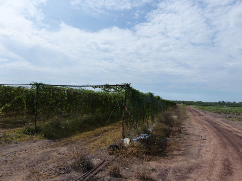 70 Connelley, Lambells Lagoon NT 0822