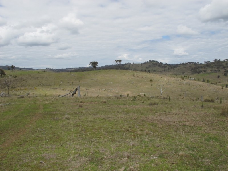 595 Pyramul Road, Mudgee NSW 2850