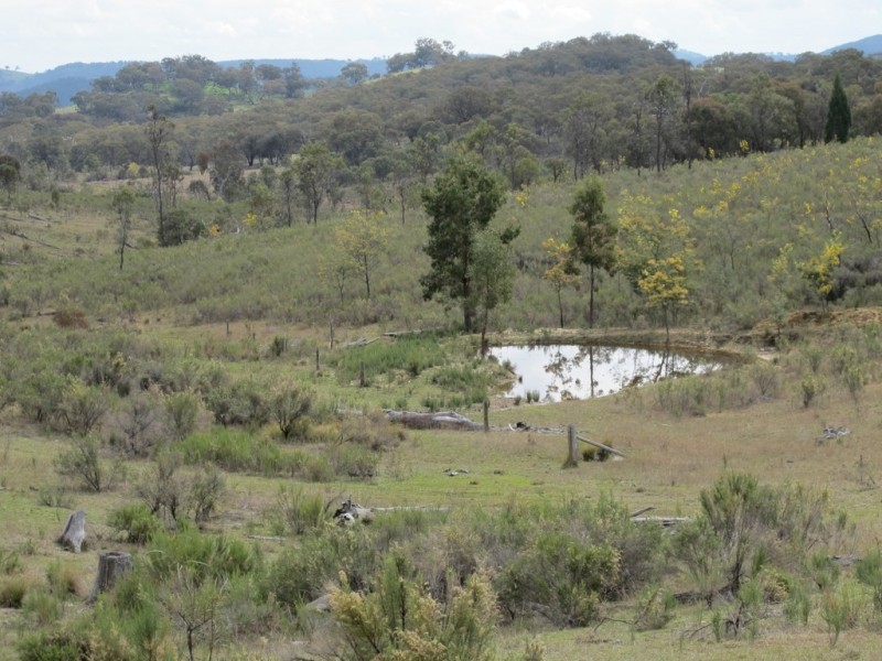 595 Pyramul Road, Mudgee NSW 2850