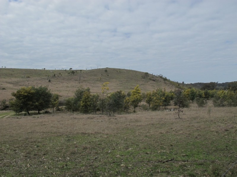 595 Pyramul Road, Mudgee NSW 2850