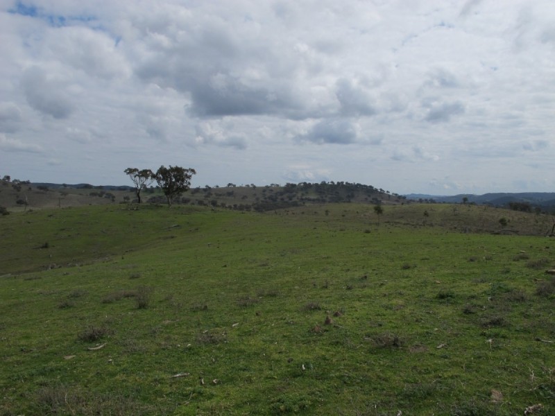 595 Pyramul Road, Mudgee NSW 2850