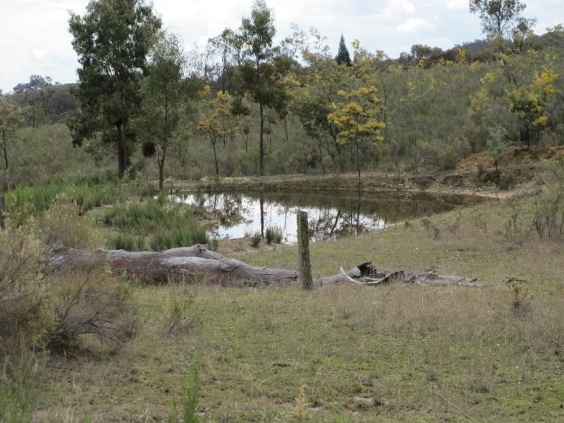 595 Pyramul Road, Mudgee NSW 2850