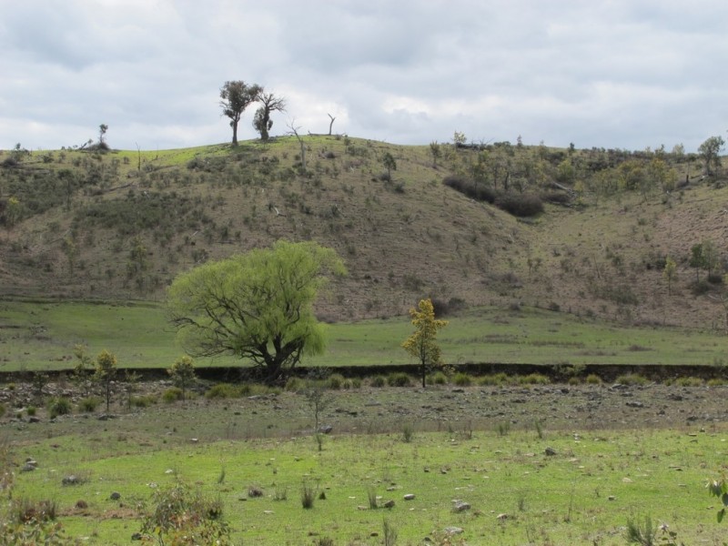 595 Pyramul Road, Mudgee NSW 2850