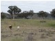 146 Clarkes Creek Road, Mudgee NSW 2850