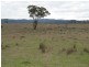 146 Clarkes Creek Road, Mudgee NSW 2850