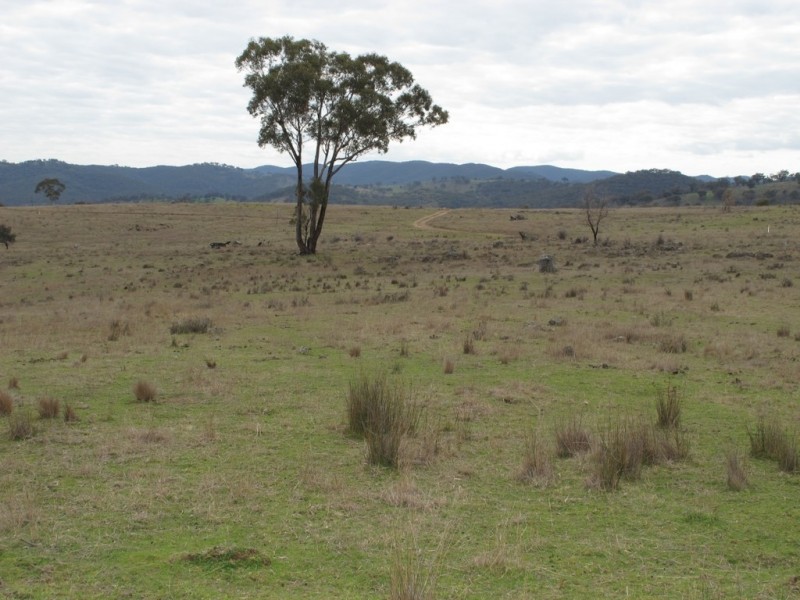 146 Clarkes Creek Road, Mudgee NSW 2850