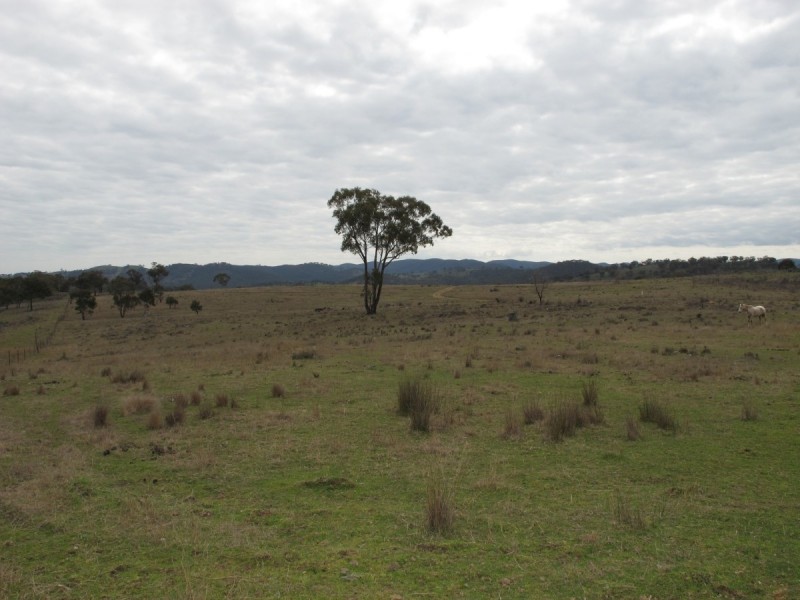146 Clarkes Creek Road, Mudgee NSW 2850