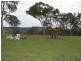 146 Clarkes Creek Road, Mudgee NSW 2850