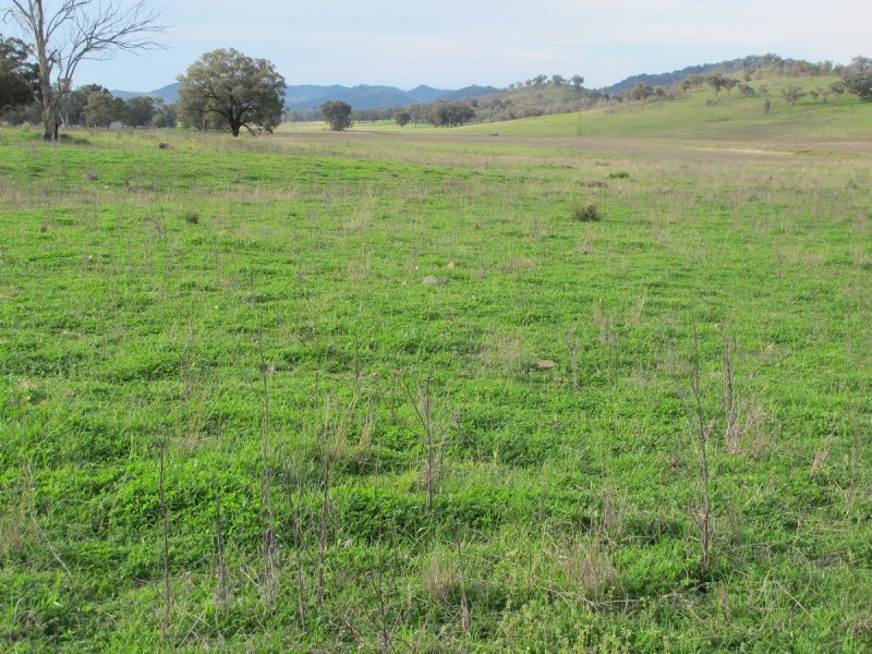 Glenlea Hughes Lane, Mudgee NSW 2850